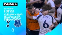 Le but de João Maria Lobo Alves Palhares Costa Palhinha Gonçalves contre Everton (43')