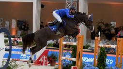 Championnats d'Europe | Saut d'obstacles