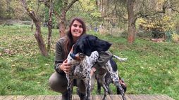 Les nouveaux chasseurs