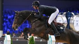 Bordeaux | Saut d'obstacles