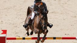 Saint-Tropez | Saut d'obstacles
