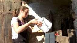 Jeunes agricultrices : entre passion et incertitudes - Marie, éleveuse malgré tout
