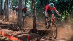 Val di Sole | Cross-country short track (H)