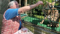 Cohabiter avec des animaux sauvages