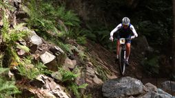 Championnats du monde | Cross-country short track U23 (H)