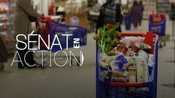 Sénat en action