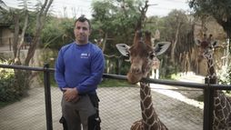 Zoos : la gestion des animaux en question