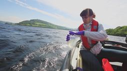 La fin de la légende