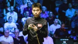 Fan Zhengyi - Robert Milkins