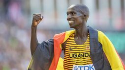 Marathon d'Amsterdam