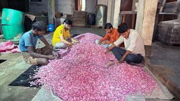 L'Inde, l'autre pays du parfum