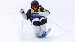 Taira | Bosses (H/F)