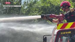 Canicule : les pompiers en alerte dans les massifs de Gironde