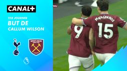 Le but de Callum Wilson contre Tottenham Hotspur (93')