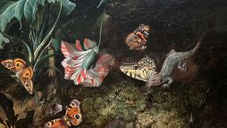 L'art et la nature : Peintres néerlandaises du XVIIe siècle