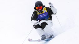 Taira | Bosses parallèles (H/F)