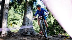 Championnats du monde | Cross country olympique Elite (F)