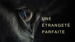 Une parfaite étrangeté
