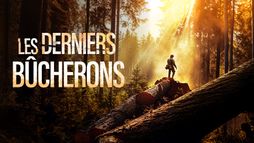 Les derniers bûcherons