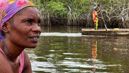 Plongée au coeur du delta du Congo
