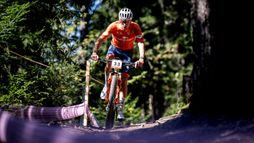 Championnats du monde | Cross country olympique Elite (H)