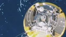 Les épaves, des oasis pour la nature