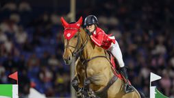 Mexico City | Saut d'obstacles