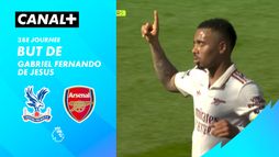 Le but de Gabriel Fernando de Jesus contre Crystal Palace (42')