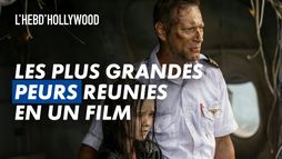 Peur des requins, peur de l'avion... Âmes sensibles s'abstenir !