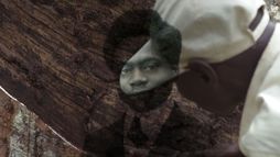 L'arbre de l'authenticité