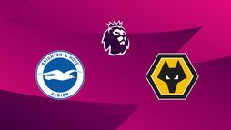 Brighton & Hove Albion / Wolverhampton