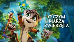 O czym marzą zwierzęta