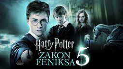 Harry Potter i Zakon Feniksa