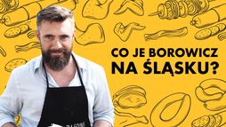 Co je Borowicz na Śląsku?