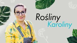 Rośliny Karoliny