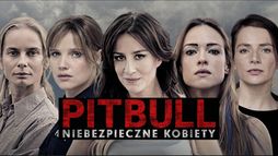 Pitbull. Niebezpieczne kobiety