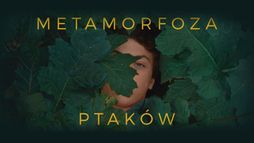 Metamorfoza ptaków