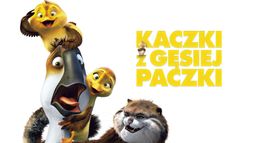 Kaczki z gęsiej paczki