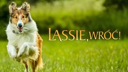 Lassie, wróć!