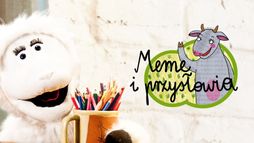 Meme i przysłowia
