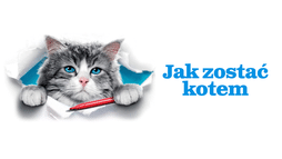Jak zostać kotem