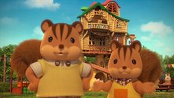 Leśna rodzina: Domek z marzeń