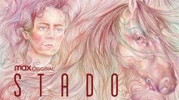 Stado