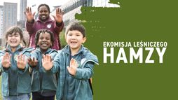 Ekomisja leśniczego Hamzy