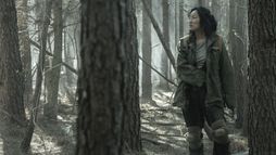 Amy / Dr. Everett