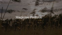 Magiczne Podlasie w serialu Kruk