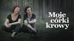 Moje córki krowy