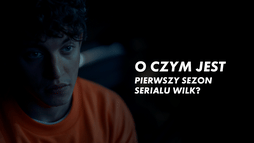 O czym jest pierwszy sezon serialu Wilk?