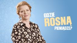 Gdzie rosną pieniądze?