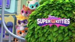 Superkoty